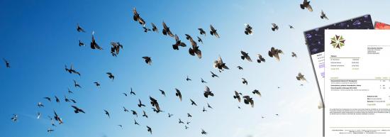 Oiseaux en vol symbolisant la disparition des frontières