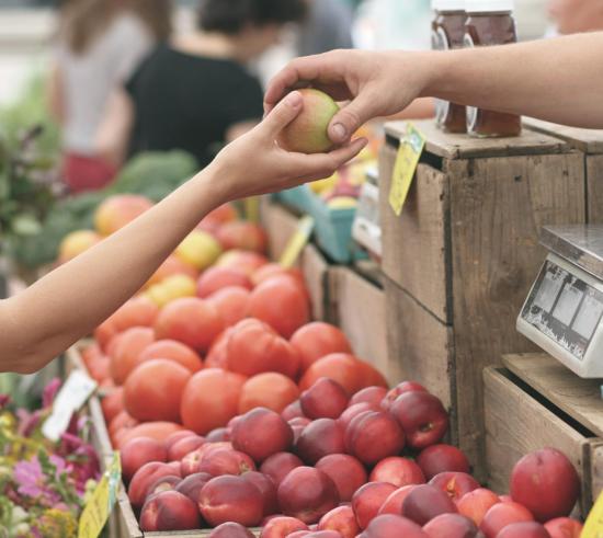 Vente de fruits et légumes, paiement comptant